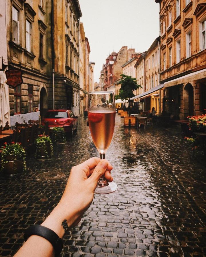 Cozy & New Furnished Flat In Old Town Of Lviv Appartement Buitenkant foto